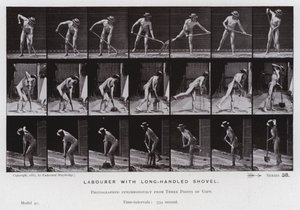 The Human Figure in Motion: Arbetare med långskaftad spade (s/v foto) av Eadweard Muybridge