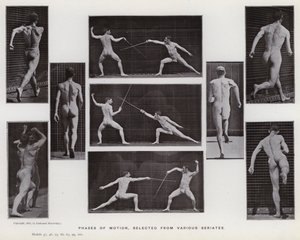 Den mänskliga figuren i rörelse: rörelsefaser, valda från olika serier (s/v foto) av Eadweard Muybridge