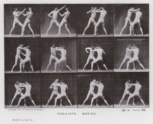 The Human Figure in Motion: Pugilists, Boxing (s/v foto) av Eadweard Muybridge