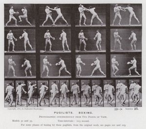 The Human Figure in Motion: Pugilists, Boxing (s/v foto) av Eadweard Muybridge