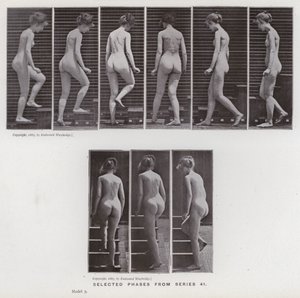 The Human Figure in Motion: Valda faser från serie 41 (s/v foto) av Eadweard Muybridge