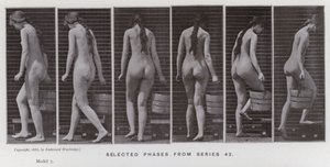 The Human Figure in Motion: Valda faser från serie 42 (s/v foto) av Eadweard Muybridge