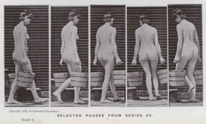 The Human Figure in Motion: Valda faser från serie 43 (s/v foto) av Eadweard Muybridge