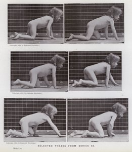 The Human Figure in Motion: Valda faser från serie 83 (s/v foto) av Eadweard Muybridge