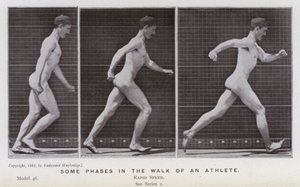 Den mänskliga figuren i rörelse: Några faser i en idrottsmans gång (s/v foto) av Eadweard Muybridge