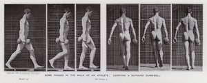Den mänskliga figuren i rörelse: Några faser i en idrottsmans promenad som bär en hantel på 50 pund (s/v foto) av Eadweard Muybridge