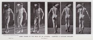 Den mänskliga figuren i rörelse: Några faser i en idrottsmans gång som bär på en sten på 75 pund (s/v foto) av Eadweard Muybridge