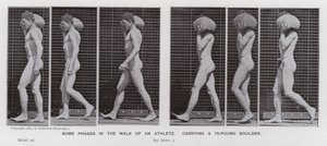 Den mänskliga figuren i rörelse: Några faser i en idrottsmans promenad som bär på ett stenblock på 75 pund (s/v foto) av Eadweard Muybridge