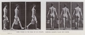 Den mänskliga figuren i rörelse: Några faser i en idrottsmans gång som bär hinkar fyllda med vatten (s/v foto) av Eadweard Muybridge