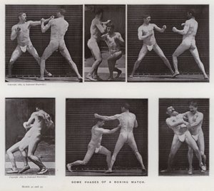 The Human Figure in Motion: Några faser av en boxningsmatch (s/v foto) av Eadweard Muybridge