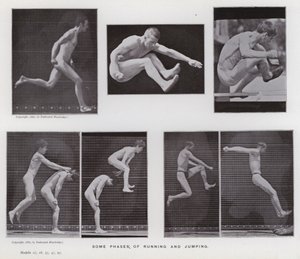 Den mänskliga figuren i rörelse: Några faser av löpning och hoppning (s/v foto) av Eadweard Muybridge