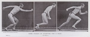 Den mänskliga figuren i rörelse: Några faser av att starta ett lopp (s/v-bild) av Eadweard Muybridge