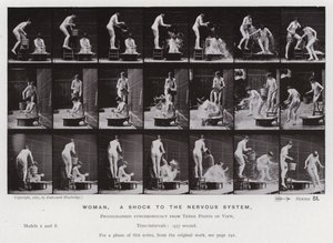 The Human Figure in Motion: Kvinna, en chock för nervsystemet (s/v foto) av Eadweard Muybridge
