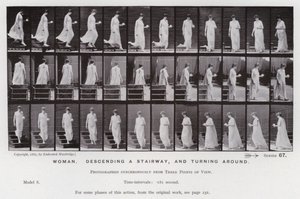 Den mänskliga figuren i rörelse: Kvinna som går ner för en trappa och vänder sig om (s/v foto) av Eadweard Muybridge
