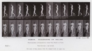 Den mänskliga figuren i rörelse: Kvinna, nedför en lutning (s/v foto) av Eadweard Muybridge