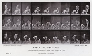 Den mänskliga figuren i rörelse: Kvinna som matar en hund (s/v foto) av Eadweard Muybridge