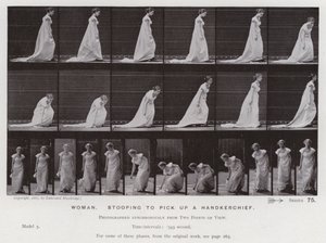 Den mänskliga figuren i rörelse: Kvinna som böjer sig för att ta upp en näsduk (s/v foto) av Eadweard Muybridge