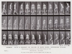 Den mänskliga figuren i rörelse: Kvinna, med en hink vatten i varje hand, uppför trappor av Eadweard Muybridge