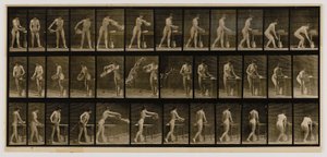 Kvinna som tömmer en bassäng med vatten, från boken Animal Locomotion av Eadweard Muybridge