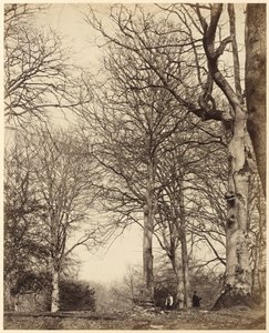 Drottning Adelaides bok,1864 (foto) av Earl of Caithness