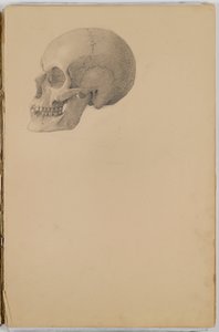 Anatomy Sketch Book, 1849 (skissbok som innehåller teckningar i grafit)