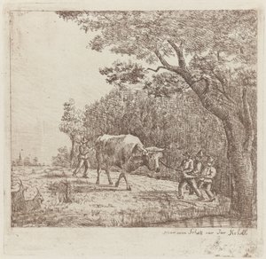 Fyra män och en tjur A Wild Bull (titel på objekt) av Eberhard Cornelis Rahms