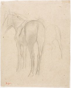 Studier av en häst av Edgar Degas