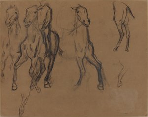 Study of Horses, c.1886 (träkol och grafit på brunt papper) av Edgar Degas