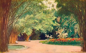 A Bamboo Grove - Botaniska trädgårdar, 1914