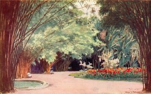 A Bamboo Grove, Botanical Gardens (färg litho)