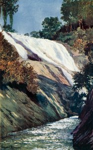 Kaskaden i Tijuca, Rio (färg litho)