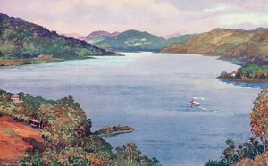 En glimt av den stora konstgjorda sjön vid Ribeirao das Lajes, byggd av Rio de Janeiro Tramway, Light and Power Company (färg litho) av Edgar L. Pattison