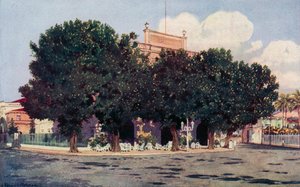 Hotel dos Estrangeiros, frekventerat av Rios officiella värld och framstående utlänningar (färg litho)