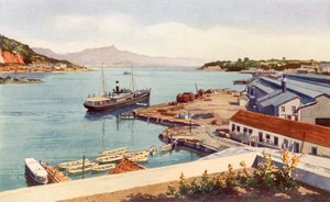 Workshops av Lloyd Brasileiro Steamship Company (färg litho)