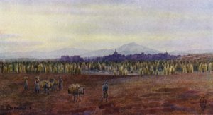 Norra Spanien: Benavente, från ovan bron Castro Gonzalo (färg litho) av Edgar T. A. Wigram