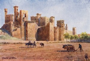 Norra Spanien: Olite, slottet (färg litho) av Edgar T. A. Wigram