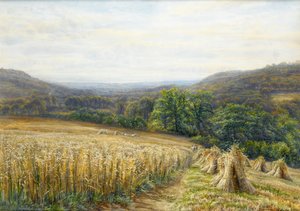 Skördetid nära Ashburton, 1884 (wc & gouache på papper) av Edmund George Warren