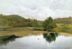 The Pool, 1860 (wc & penna och bläck på papper)