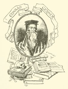 Conrad Gesner av Edmund Joseph after Sullivan