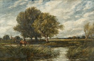Vatna hästar av Edmund Morison Wimperis