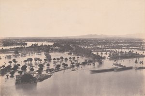 Avignon (floden 1856)