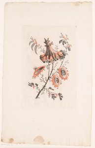 Parasollformade blommor Fleurs Idealle (serietitel) av Edouard Gautier Dagoty