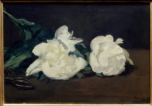 Gren av vita pioner och sekatör Målning av Edouard Manet (1832-1883) 1864 Dim. 0,31x0,46 m. Paris. Orsay museum av Édouard Manet