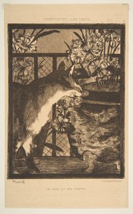 Katt och blommor. Illustration till katterna av Champfleury, 1869. av Édouard Manet