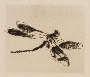 Dragonfly, tallrik 1 från The River av Édouard Manet