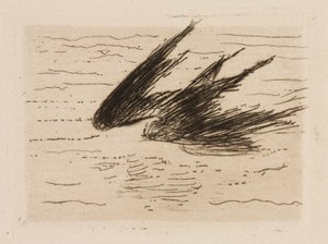 Svalor, plansch 8 från Le Fleuve av Édouard Manet