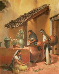 The Water Place (Tortugo)