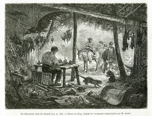 Ett taxidermilaboratorium i urskogen, i regionen Llanos (Colombia), teckning av Riou, för att illustrera historien om Equinoxiale America (Colombia, Ecuador, Peru), 1875-1876, av Ed. andre, resemissionsavgift från den franska regeringen. Engra av Edouard Riou