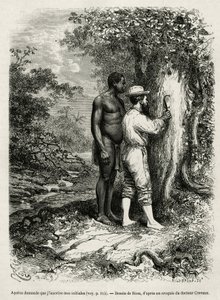 Apatou, guide och resesällskap ber upptäcktsresandeförfattaren att gravera in sina initialer i barken på ett träd. Gravyr av Riou, för att illustrera historien om Cayenne aux Andes, av Jules Crevaux, läkare för franska flottan, 1878-1879, publicerad i Tour av Edouard Riou