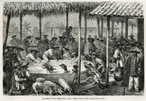 Tuppfäktning och gatuanimation i Ibague (Colombia), teckning av Riou, för att illustrera historien om Equinoxiale America (Colombia, Ecuador, Peru), 1875-1876, av Ed. andre, resemissionsavgift av den franska regeringen. Gravyr i Le tour du monde av Edouard Riou